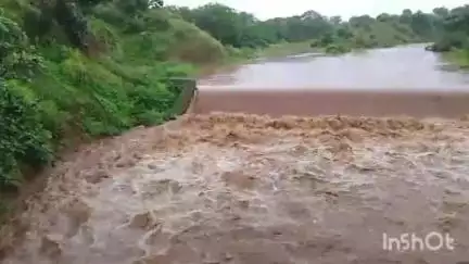 ધારી: ધારી ગીર અને ગીર ગ્રામ્ય વિસ્તારમાં ધોધમાર વરસાદ