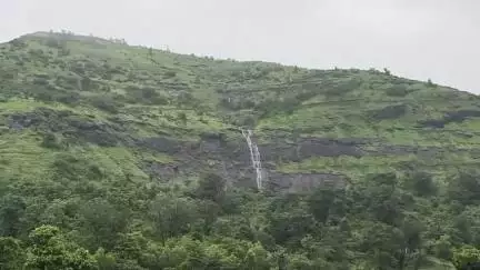 સુબીર: પ્રવાસીઓથી ધમધમતા ડાંગ જિલ્લામાં દીપડાનો વિડિઓ થયો વાયરલ
