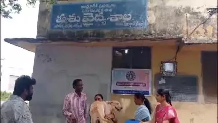 పాణ్యంలో ఘనంగా ప్రపంచ జూనోసిస్ దినోత్సవం