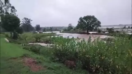 मंडला: भारी बारिश के कारण मटयारी जलाशय का नहर टूटने से जिले के अंजनिया और मांद के किसानो की फसल हुई चौपट #jansamasya