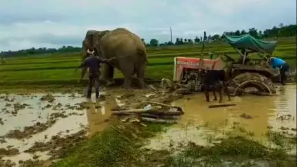 ट्रैक्टर की क्या अवकात जो हाथी के खींचने पर दलदल से बाहर न आये, लेकिन हर किसी के पास हाथी नहीं होता...