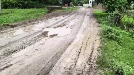 रायसेन: तीन साल में भी नहीं बन पाया 4.5 किमी सेमरा-बनखेड़ी मार्ग, बारिश में दलदल बना रास्ता, ग्रामीण बेहाल #Jansamasya