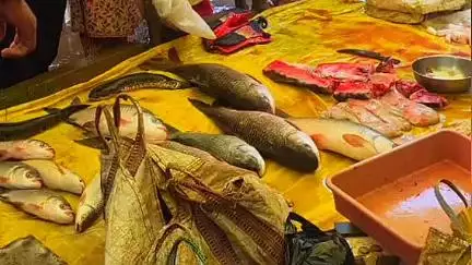 लांजी: लांजी साप्ताहिक बाजार में मत्स्योद्योग विभाग की छापेमारी, ₹5600 की मछलियां जब्त