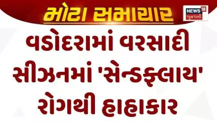 Vadodara News : વડોદરામાં વરસાદી સીઝનમાં 'સેન્ડફ્લાય' રોગથી હાહાકાર | Gujarati Samachar | News18