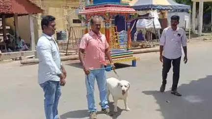 தேவகோட்டை: கண்டதேவி தேரோட்டத்தை முன்னிட்டு மோப்ப நாய் உதவியுடன் சோதனை - தேரோட்டம் நடக்கும் இடத்தை கண்ட்ரோலில் எடுத்த போலீஸ்