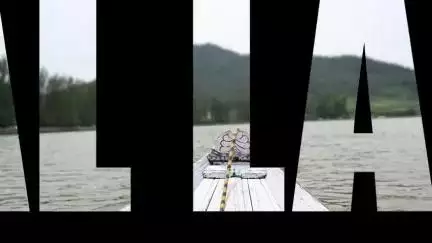 Soaking in the breathtaking beauty of the majestic Dal Lake on a shikara.