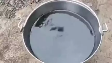 राजगढ़: राजगढ़ शहर के वार्ड क्रमांक एक में नलों से आ रहा गंदा बदबूदार पानी, लोगों ने वीडियो बनाकर किया वायरल