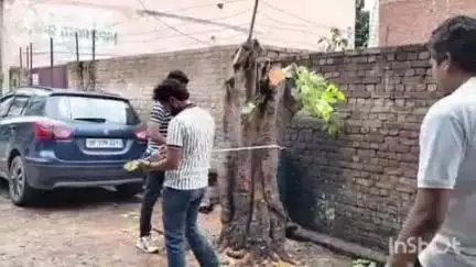 हापुड़: सूर्य विहार कॉलोनी में अवैध रूप से काटे गए हरे-भरे पेड़, वन विभाग की टीम मौके पर जांच में जुटी