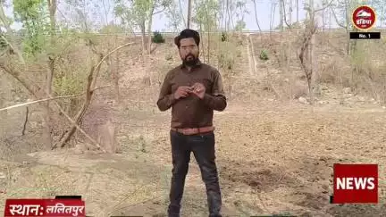 ललितपुर जिले की तालबेहट में तार फेंसिंग को तोड़ा किया नुकसान