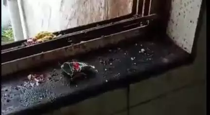 लखनादौन: सीबीएमओ लखनादौन ने सिविल अस्पताल के सुपरवाइजर को सफाई व्यवस्था के लिए चेतावनी पत्र जारी किया