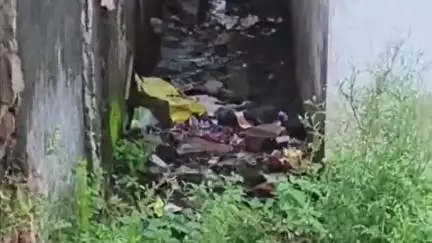 रतलाम नगर: जर्जर सड़क व गंदगी से परेशान सुभाष नगर के रहवासियों में रोष व्याप्त, कहा- शिकायत पर नहीं होती सुनवाई #jansamasya