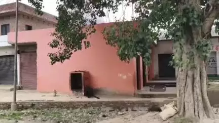 शाहबाद: ठड़ेश्वरी के दुर्गा माता मंदिर की दुकानों पर दबंग ने किया कब्जा, महिलाओं को जान-माल की धमकी दे रहा है
