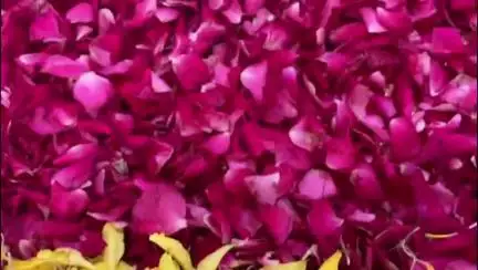 મહુધા: મહુધા વિધાનસભાના ચુણેલ ખાતે લોક પ્રિય ધારાસભ્યની ગ્રાંટમાંથી શેડ બનાવાયો