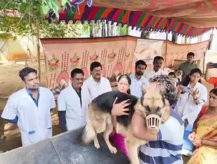 సంగారెడ్డి: పెంపుడు కుక్కల ద్వారా రెబిస్ వ్యాధి రాకుండా యాంటీ రేబిస్ టీకాలు వేయించాలి : పశుసంవర్ధక శాఖ డైరెక్టర్ వసంతకుమారి