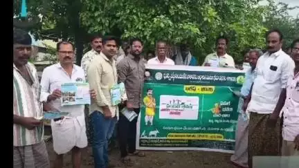 బనగానపల్లె మండలం లో పంటల భీమపై రైతులకు అవగాహన కార్యక్రమాలు