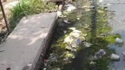 पट्टी: तरदहा गांव में जलभराव से परेशान लोग, नाली निर्माण की मांग उठाई