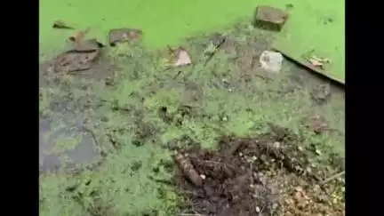 बाह: प्रतापपुरा गांव में जलभराव और खराब रास्तों से परेशान ग्रामीण, पलायन को मजबूर #jansamasya
