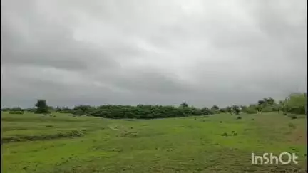 जावरा: जावरा में आज की वर्षा और तापमान की जानकारी कलेक्टर मूअभिलेख रतलाम से मिली