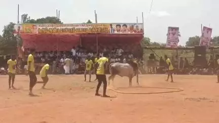 சிவகங்கை: வடமாடு மஞ்சுவிரட்டு அரசு போக்குவரத்துக்கழக பணிமனை பின்புறம், 6 நபர்கள் காயம்