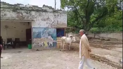 गाज़ीपुर: गाजीपुर में यूपी गोसेवा आयोग लखनऊ के सदस्य रमाकान्त उपाध्याय ने गौशालाओं का किया निरीक्षण, दिए सख्त निर्देश