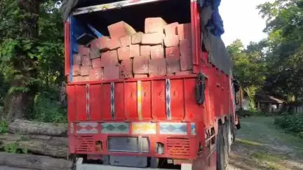 কুমারগ্রাম: অসম-বাংলা সীমানার পাকরিগুড়িতে 600 CFT বার্মাটিক বোঝাই ট্রাক আটক করল বন বিভাগ