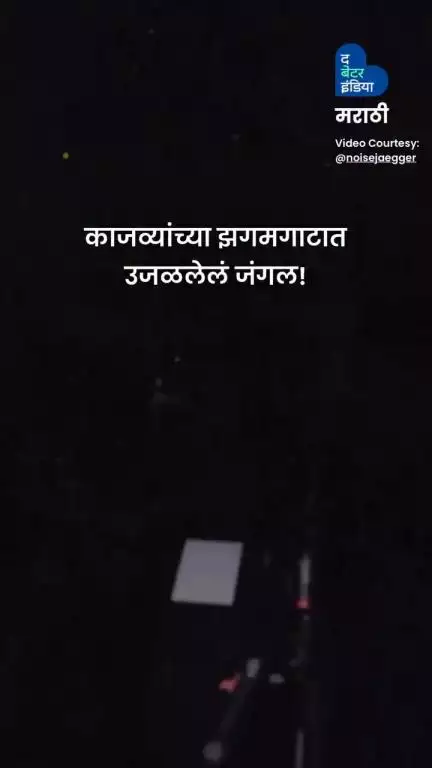 हे एखाद्या कल्पनाविश्वातलं दृश्य वाटू शकतं... पण हे महाराष्ट्रातलं वास्तव आहे — जून महिन्यात घडणारं एक नैसर्गिक चमत्कार!