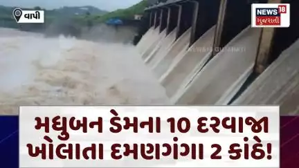 Vapi Rain News | મધુબન ડેમના 10 દરવાજા ખોલાતા દમણગંગા 2 કાંઠે! | Monsoon | Rain | Madhuban Dam |N18V