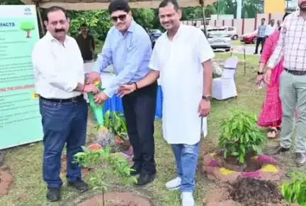 गोलमुरी-सह-जुगसलाई: बिष्टुपुर में वन महोत्सव पर टाटा स्टील और पत्रकारों ने मिलकर किया वृक्षारोपण