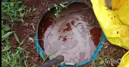 लातूर: जिल्ह्यात हातभट्टी,,देशी-विदेशी दारूची अवैधविक्री करणाऱ्यावर पोलिसांचा छापा.55 गुन्हे दाखल,1लाख 5 हजाराचा मुद्देमाल जप्त