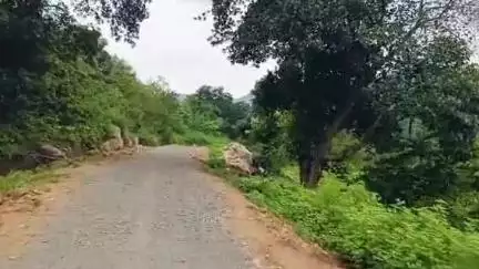 డోలిమోత గ్రామానికి రహదారి నిర్మాణం ... ఆనందంలో గిరిజనులు