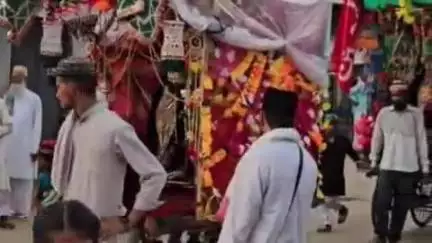 छतरपुर: ईशानगर में मुहर्रम पर निकाले गए ताजिये, बड़ी संख्या में मुस्लिम समाज के लोग हुए शामिल