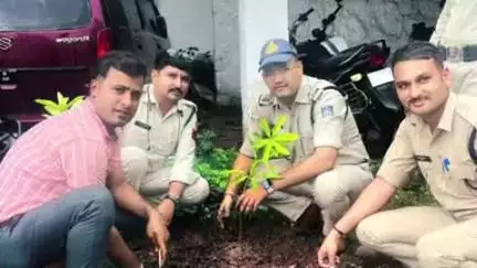 रायसेन: सलामतपुर थाना परिसर में पौधारोपण कार्यक्रम का हुआ आयोजन, थाना प्रभारी व स्टाफ रहा मौजूद