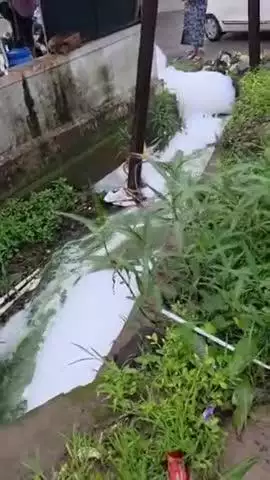 सातारा: गोळीबार मैदान परिसरातील स्वराज्य नगर येथील गटारात फेस, भीतीचे कारण नसल्याची नगरपालिकेच्या आरोग्य विभागाची माहिती