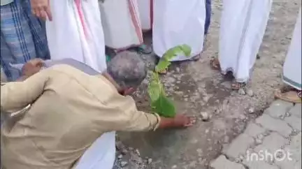 കൊച്ചി: ശോചനീയാവസ്ഥ, കുമ്പളങ്ങി പെരുമ്പടപ്പ് റോഡിൽ വാഴനട്ട് പി.ഡി.പിയുടെ പ്രതിഷേധം