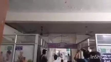 बारां: शहीद राजमल मीणा जिला चिकित्सालय के आईसीयू वार्ड में घुसा सांप, मरीजों और तीमारदारों में मची अफरातफरी