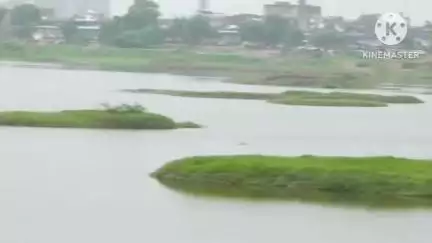 અમદાવાદ શહેર: વર્ષો બાદ અમદાવાદના ચંડોળા તળાવની જૂની રોનક દેખાઈ, ગેરકાયદે બાંધકામ હટ્યા પછી ચંડોળા તળાવ ફરી જીવંત થયું