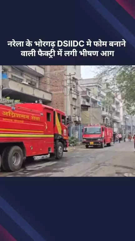 नरेला: नरेला के भोरगढ़ DSIIDC में फोम बनाने वाली फैक्ट्री में लगी भीषण आग