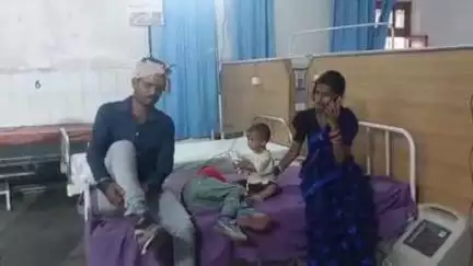 पीलीभीत: मुस्तफाबाद के पास बाघ ने बाइक सवारों पर किया हमला, 4 लोग घायल
