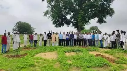 रानीवाड़ा: रानीवाड़ा में हरियालो राजस्थान अभियान के तहत वन विभाग और गायत्री सेवा समिति ने लगाए 800 पौधे