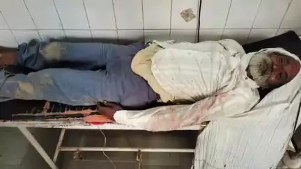 माण्डलगढ़: थल कला गांव में जहरीले जानवर के काटने से एक किसान की हुई मौत