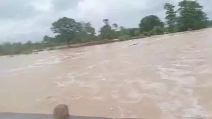 बरही: बरही क्षेत्र के अंतर्गत ग्राम नदावन में नदी में बाढ़