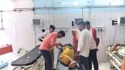 खगड़िया: ठाठा गांव में पशु चारा काटते समय महिला को सांप ने काटा, अस्पताल में उपचार जारी