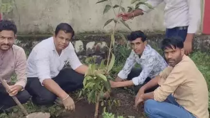 चांद: चांद नगर के शासकीय परिसर में टीचर वेलफेयर सोसाइटी द्वारा 100 पौधे लगाए गए