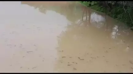 मऊरानीपुर: तहसील के कई गांवों में लगातार हो रही मौसमी बारिश, किसानों के लिए बनी परेशानी, बुबाई एवं फसल दोनों पर संकट