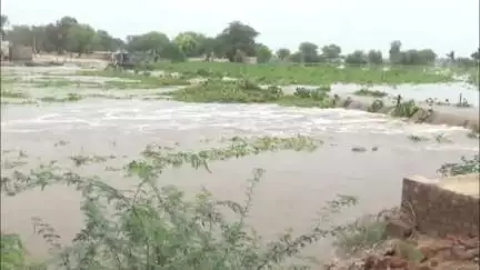 हनुमानगढ़: हनुमानगढ़ की घग्घर नदी में 3260 क्यूसेक पानी की आवक, नाली बेड में 3000 क्यूसेक पानी बह रहा, किसानों को मिली बड़ी राहत