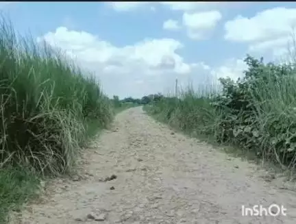 अकबरपुर: भीटी में स्कूल की सड़क जर्जर, बच्चों को आवाजाही में हो रही परेशानी, ग्रामीणों ने दी आंदोलन की चेतावनी