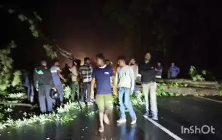 बैकुंठपुर: जमदुआरी के पास राष्ट्रीय राजमार्ग पर गिरा पेड़, यातायात हुआ बाधित
