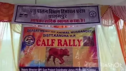 पालमपुर: कलुंड में पशुपालन विभाग द्वारा आयोजित काफ रैली में पालमपुर विधायक आशीष बुटेल ने की शिरकत