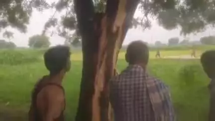 फतेहपुर: बंथरा गांव में गिरी आकाशीय बिजली, नीम के पेड़ के नीचे बैठी किशोरी झुलसी, अस्पताल में भर्ती