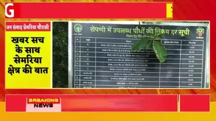 ब्रेकिंग न्यूज सेमरिया चौरासी